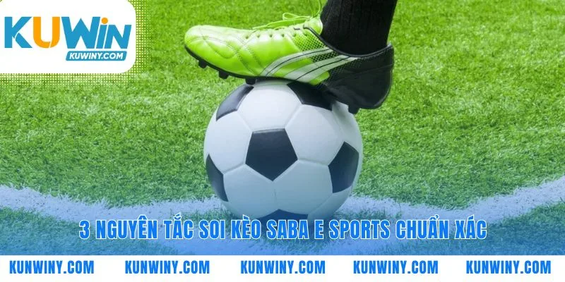 Từ dự đoán cảm tính chuyển sang phân tích logic