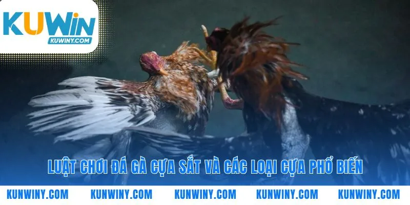 Quy tắc và vũ khí định đoạt trận đá gà cựa sắt